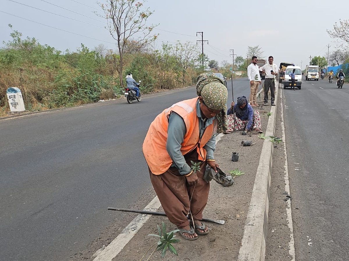 Workers planting saplings along the central median of the four-lane road at Nagala