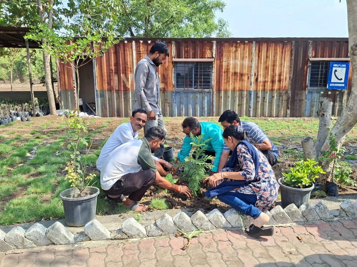 Staff planting a sapling in a garden bed beside a site building